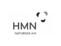HMN - logo